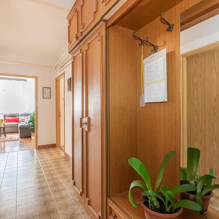 Apartment Vida *